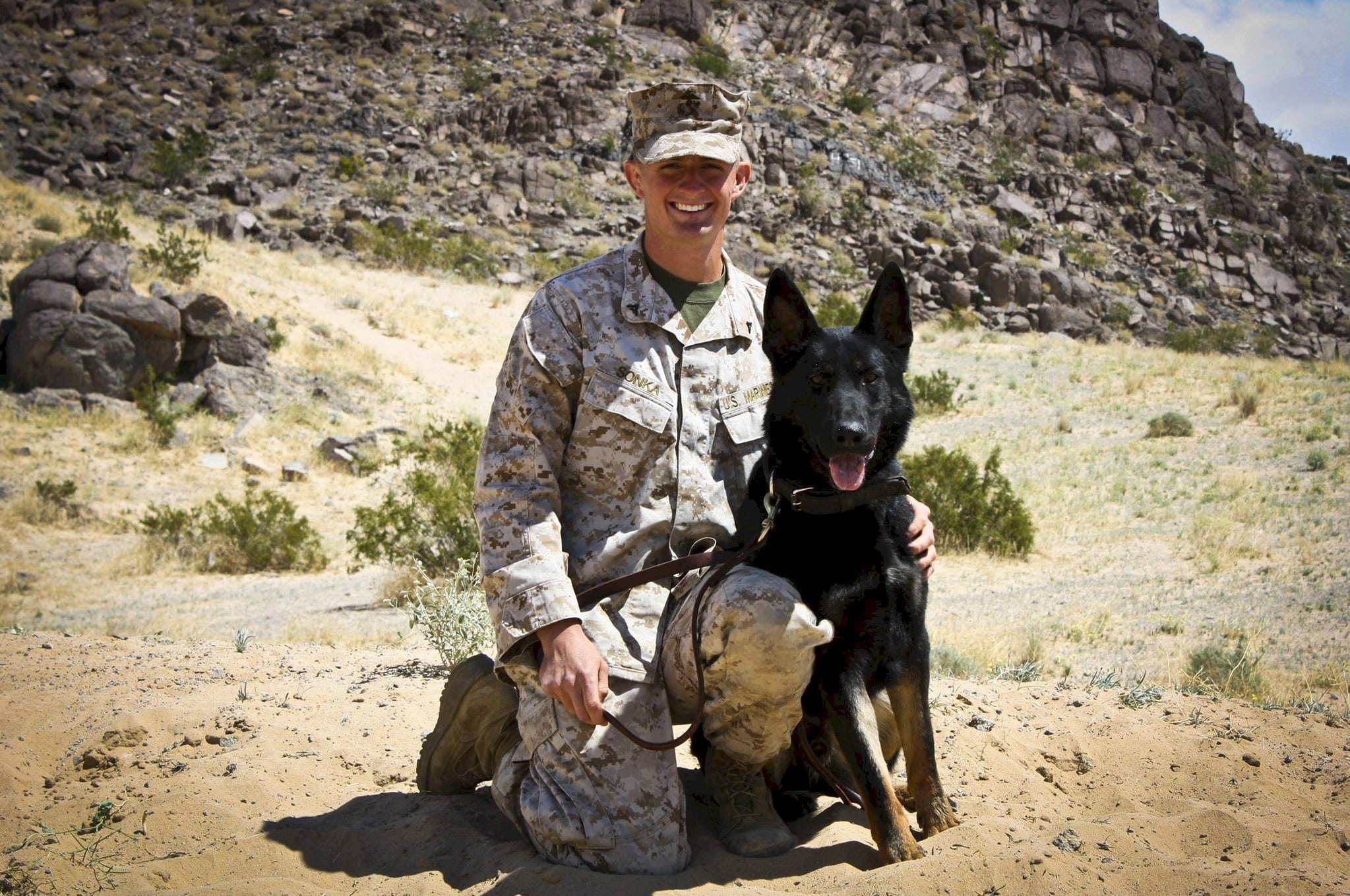 Honoring the courageous legacy of a Marine and his K-9 at the Dumb Friends League image